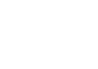 Bild von der Webseite von Steinbreder